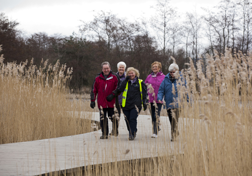 Carronshore Walk Tuesday