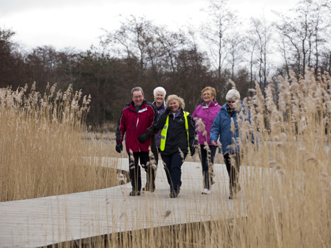 Carronshore Walk Tuesday