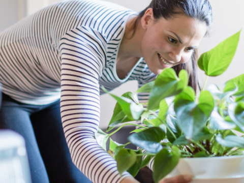 Gardening club