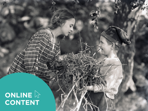 HippFest at Home | Fante-Anne